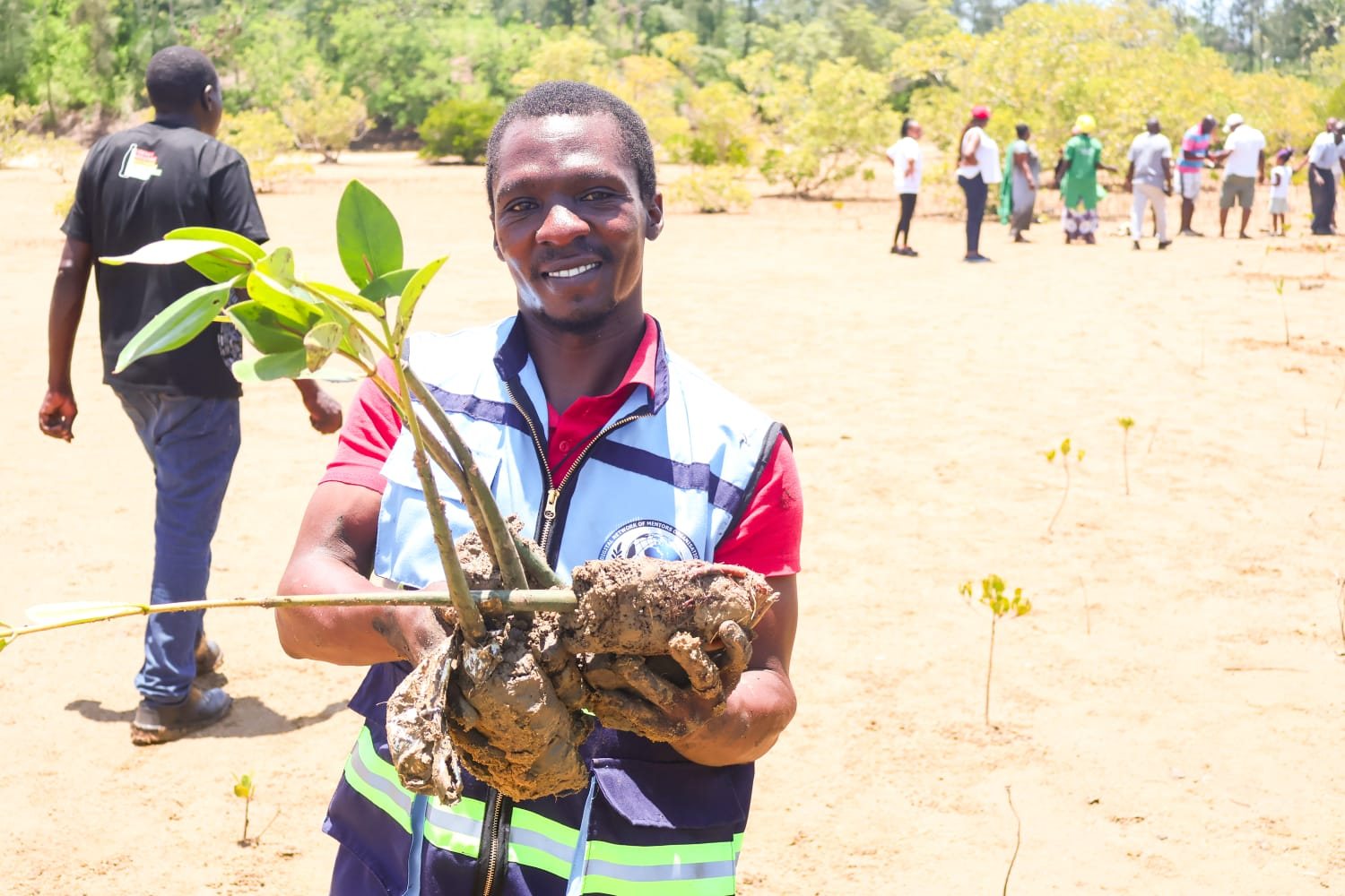 Un champion souriant tenant des propagules de palétuvier sur un vaste site de plantation, avec des bénévoles derrière lui
