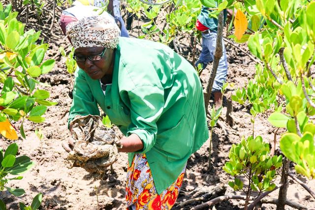 Twende Green Planet – 013