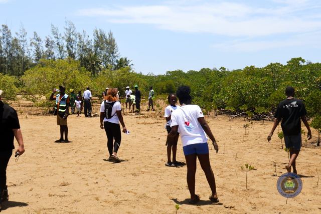 Twende Green Planet – 034