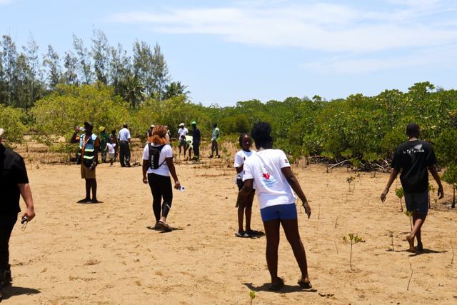 Twende Green Planet – 078